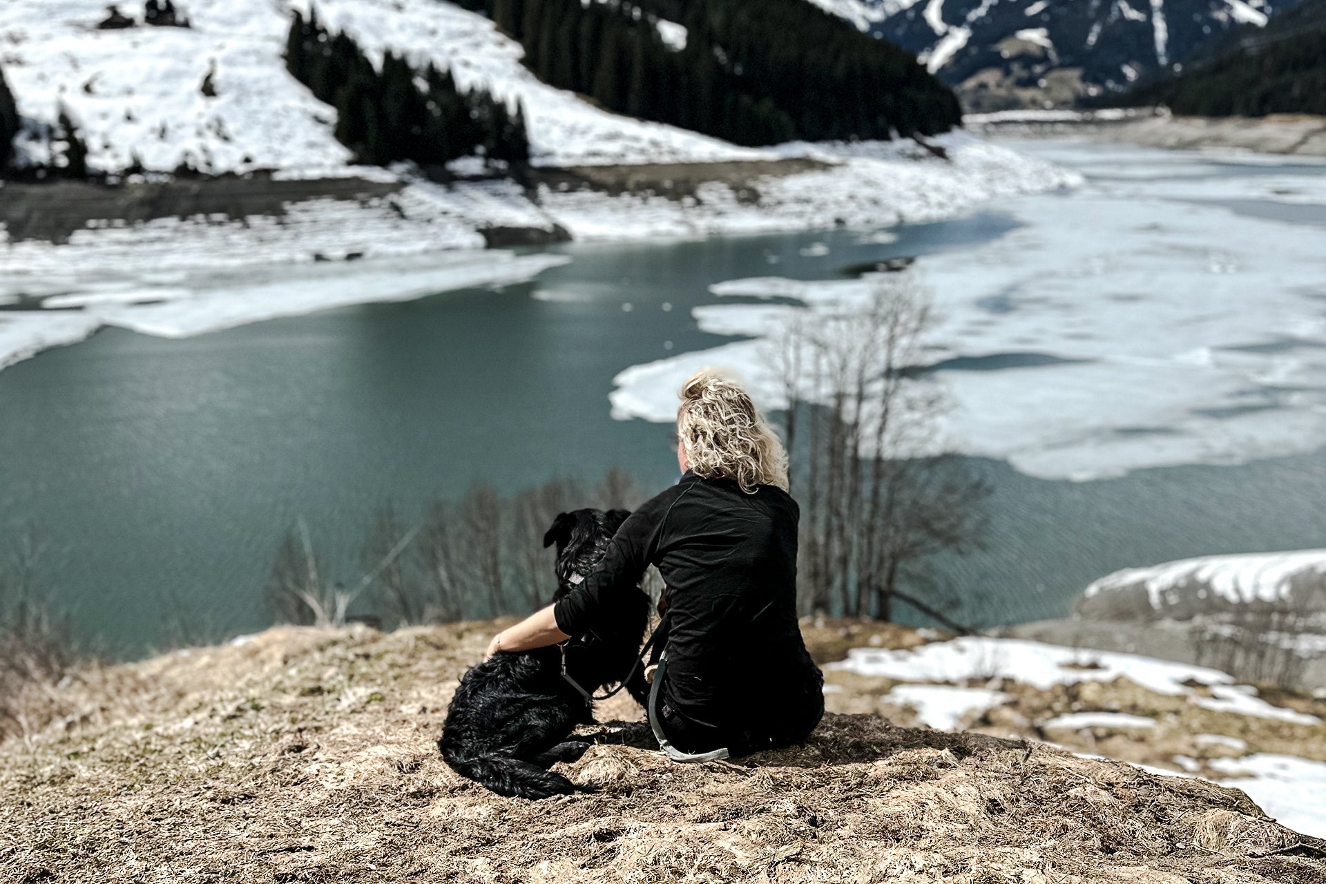 Reisen mit Hund – darauf solltet ihr achten