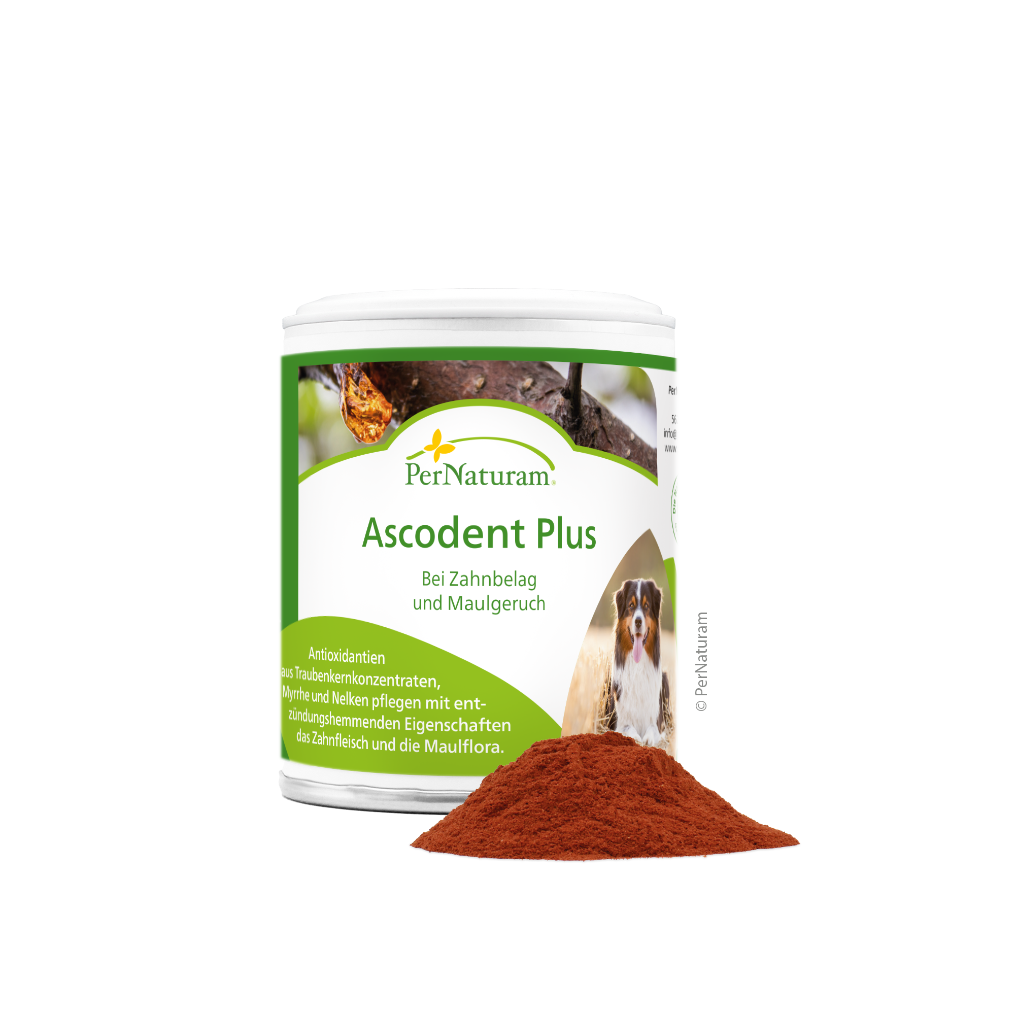 PerNaturam Ascodent Plus
