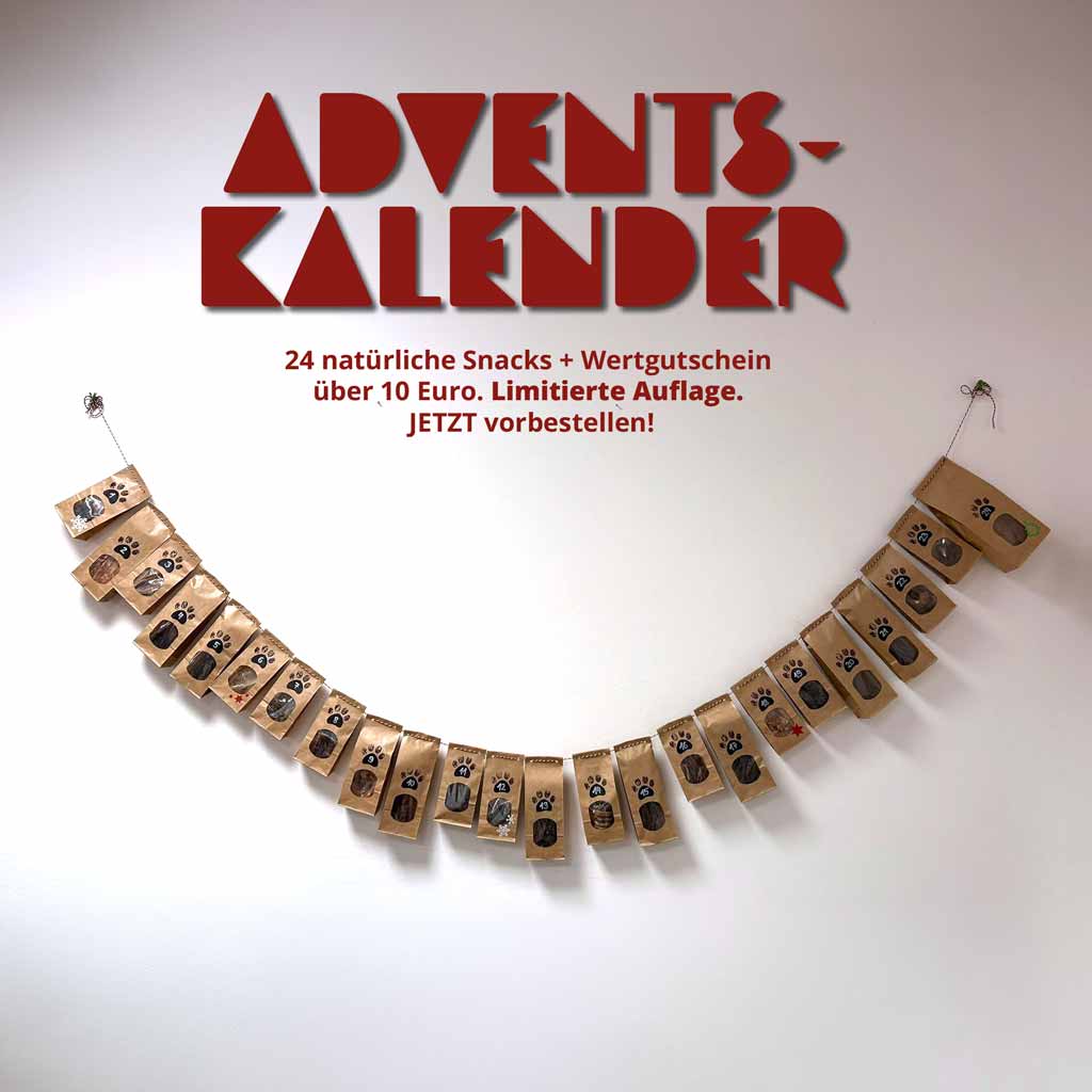 BALF Adventskalender für Hunde