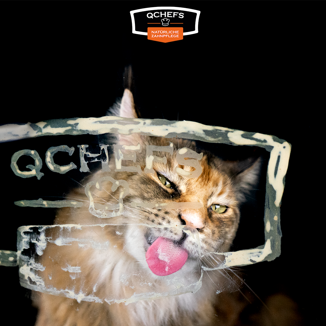 QCHEFS Zahnputzflocken für die Katze