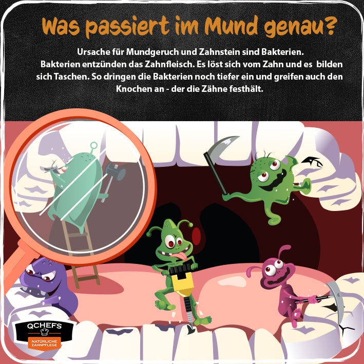 QCHEFS Zahnputzkohle für die Katze