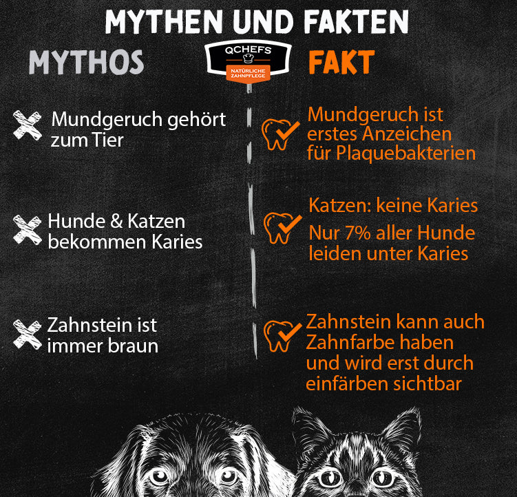QCHEFS Zahnputzkohle für die Katze