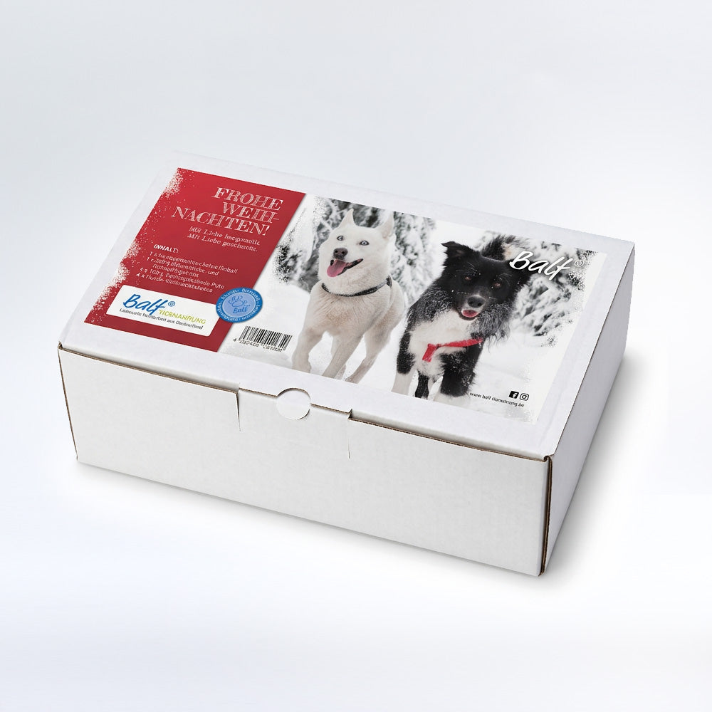 BALF Weihnachtsbox 2026 💫