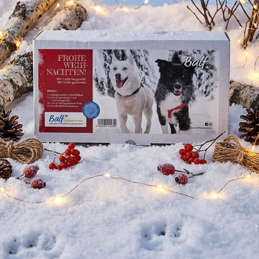 BALF Weihnachtsbox 2026 💫