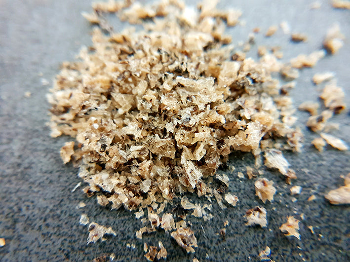 QCHEFS Zahnputzflocken