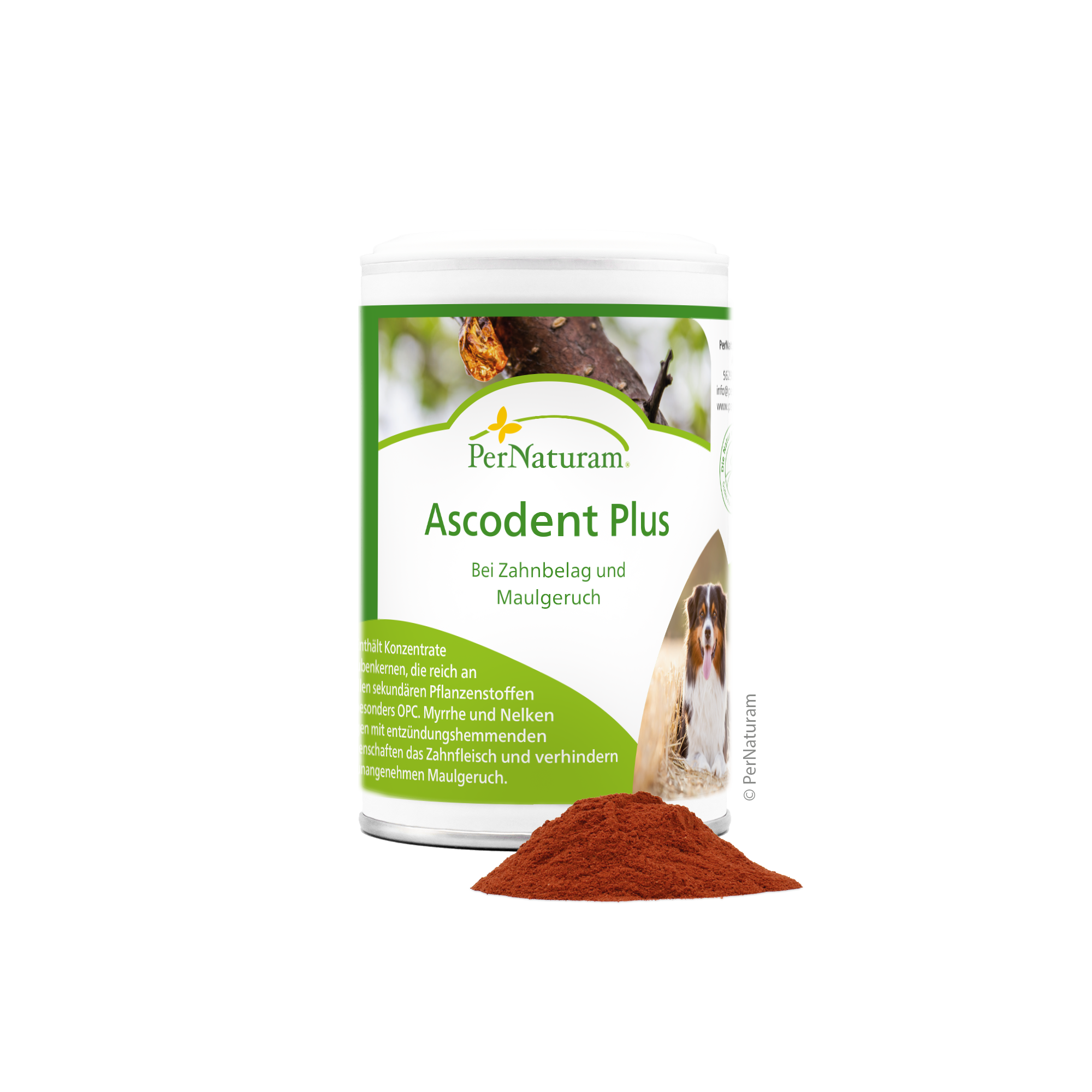 PerNaturam Ascodent Plus