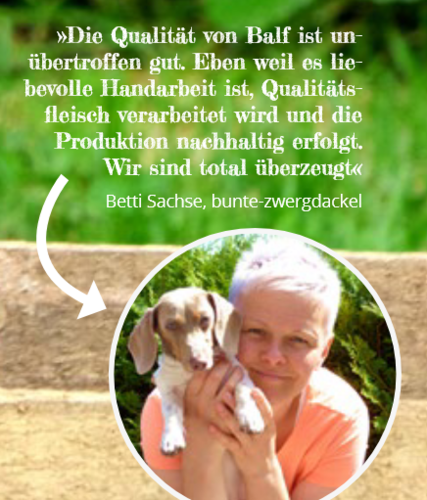 BALF Lieblingsleckerlibox "Bunte Zwergdackel"