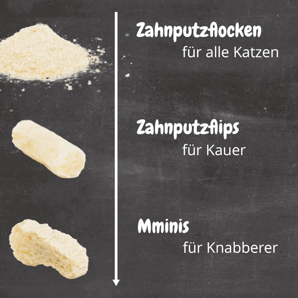 QCHEFS Zahnputzflips für die Katze
