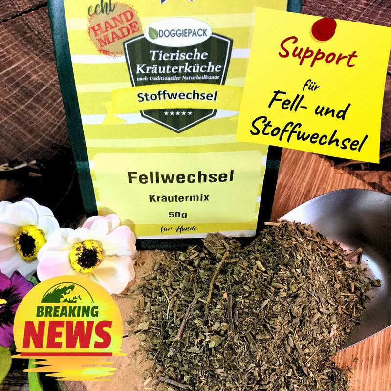 Fellwechsel Kräutermix