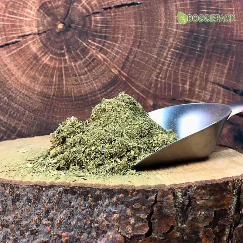 Pankoral - Kräuter Bauchspeicheldrüse