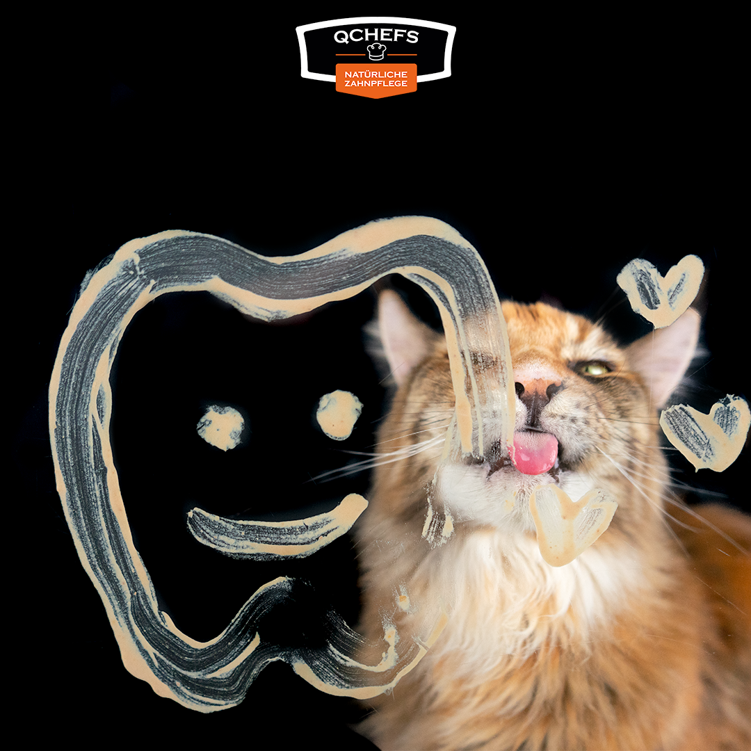 QCHEFS Zahnputzflocken für die Katze