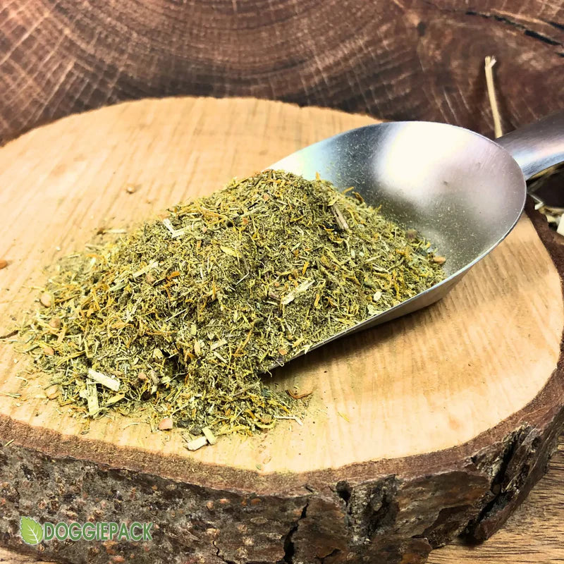 Lauffreude - Kräuter