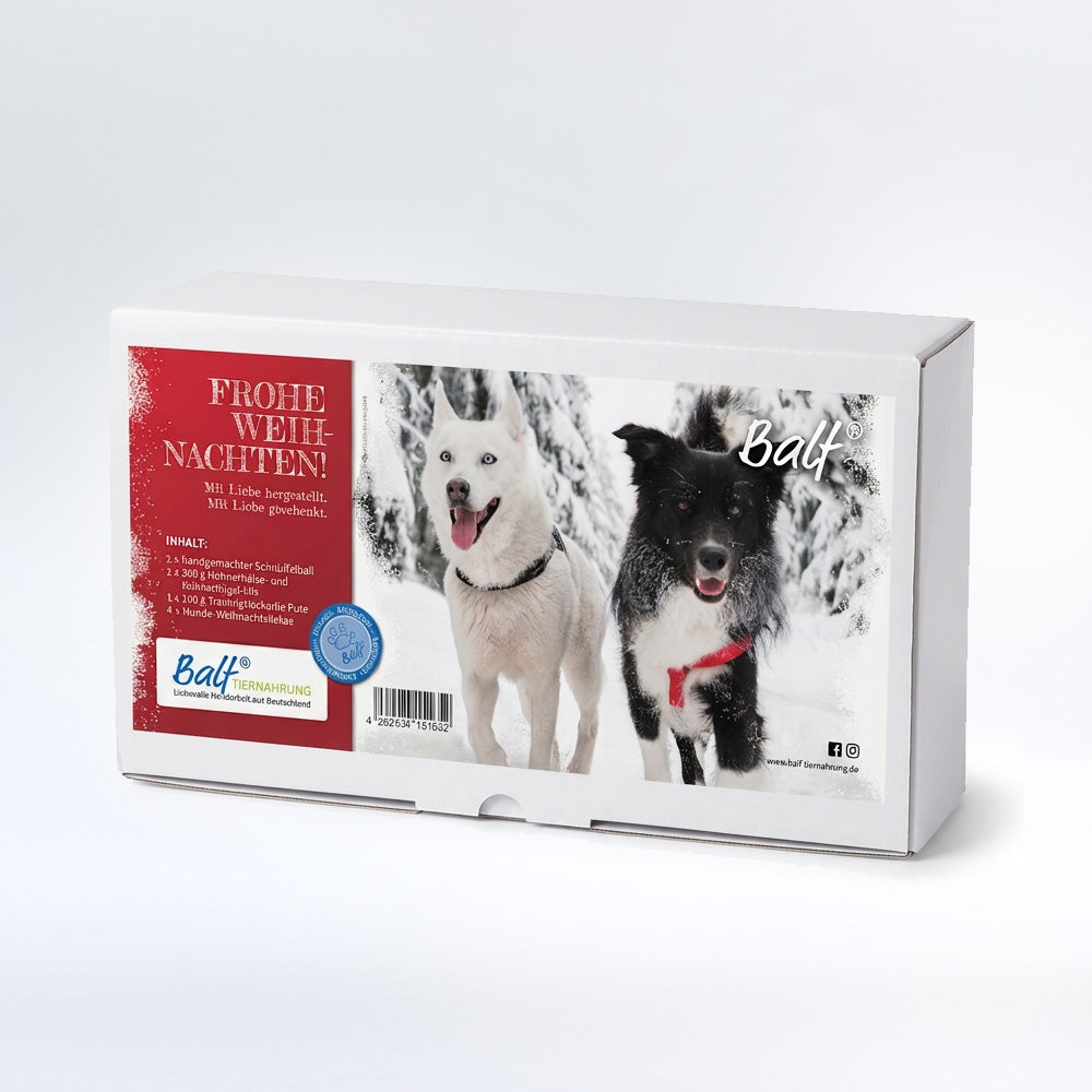 BALF Weihnachtsbox 2026 💫